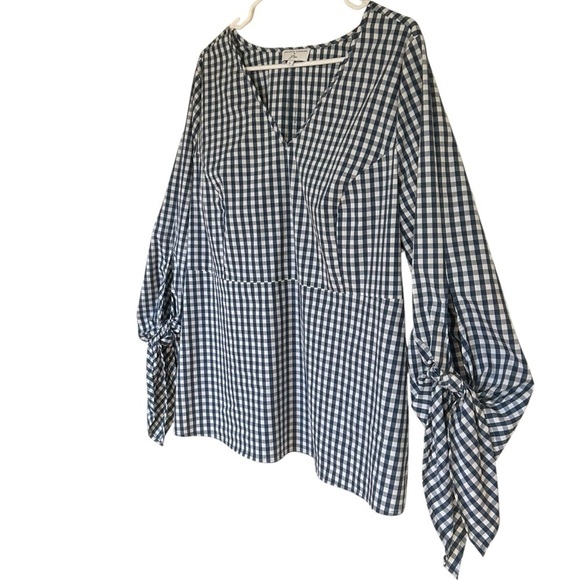 J. Crew X Universal Standard Blue and White Gingham Poplin Blouse Large Cotton - Picture 5 of 14